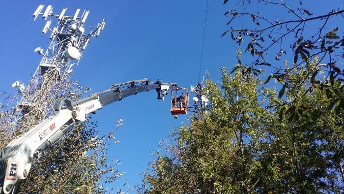 Antenna Linefiber